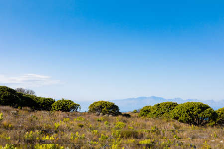 Coastal mountain landscape with fynbos flora in Cape Town South Africa