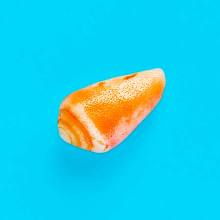 Flat Lay isolated image of a coastal seashell on a light blue background