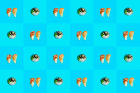 Flat Lay wallpaper background image of coastal seashells on a checkered blue backgroundの写真素材