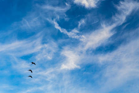Cirrus and Stratus clouds in dramatic blue sky over Cape Town South Africaの写真素材