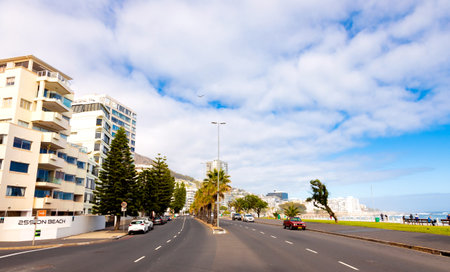 Cape Town, South Africa - May 12, 2022: Rows of palm trees on Sea Point beach front avenueのeditorial素材