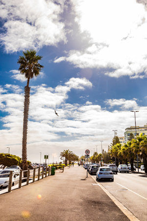 Cape Town, South Africa - May 12, 2022: Street scene on Sea Point breach front avenueの写真素材