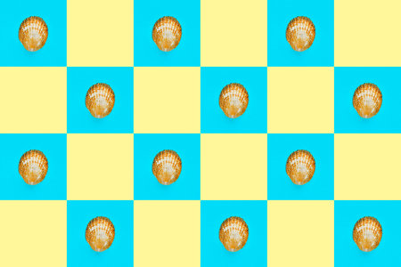 Flat Lay wallpaper background image of coastal seashells on a checkered blue background