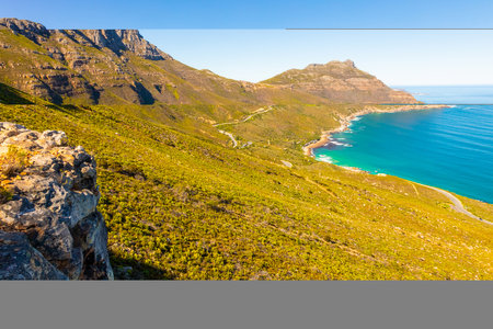 Chapmanâs Peak Coastal mountain landscape with fynbos flora in Cape Town, South Africaの写真素材