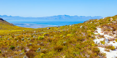 Coastal mountain landscape with fynbos flora in Cape Town, South Africaの写真素材
