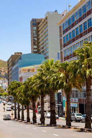 Cape Town, South Africa - December 7, 2022: Street view of city buildings with palm treesのeditorial素材