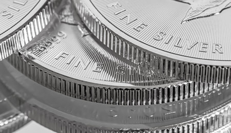 Cape Town, South Africa - August 17, 2019: Illustrative Editorial image of a 9999 Silver Canadian Maple Leaf Bullion Coinの写真素材