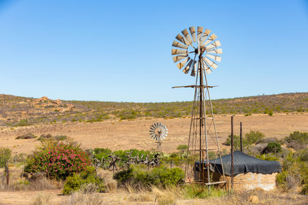 Farming windmill wind pump in the Namaqualand region of South Africa