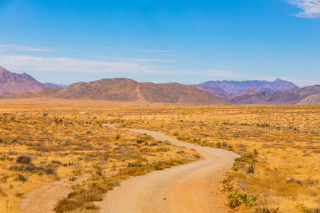 Wide angle view of open area in the Richtersveld National Park, arid area of South Africaの写真素材