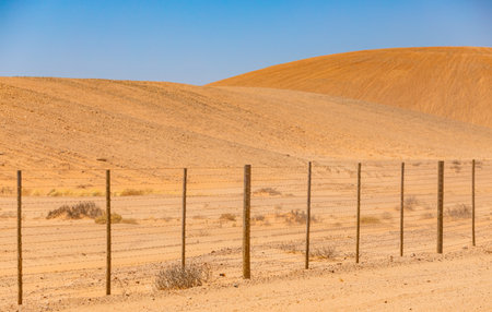 Orange sand dunes in the Richtersveld National Park, South Africaの写真素材