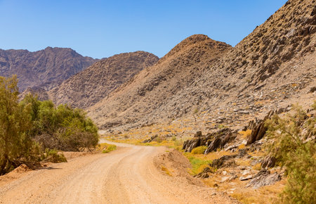 Gravel dirt road in the Richtersveld National Park, arid area of South Africaの写真素材