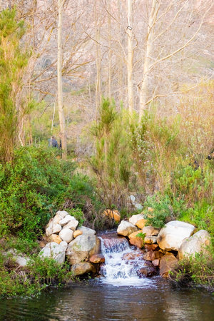 View of Landscaped nature garden in Cape Town, South Africaの写真素材