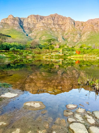 View of Landscaped nature garden in Cape Town, South Africaの写真素材