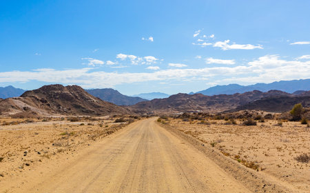 Gravel dirt road in the Richtersveld National Park, arid area of South Africaの写真素材