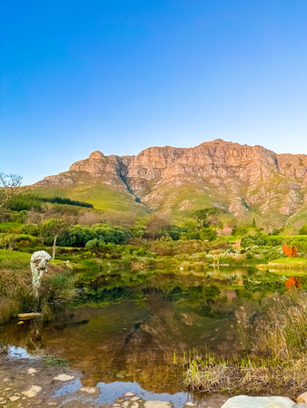 View of Landscaped nature garden in Cape Town, South Africaの写真素材