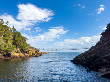 Garden Route, South Africa - October 13, 2025: Suspension bridge at Storms River Mouth Parkのeditorial素材