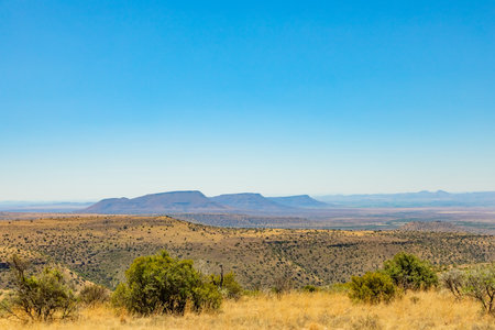 View of arid landscape in a wildlife conservation in South Africa