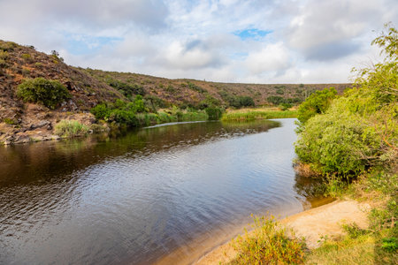 Scenic view of the Breede River in Swellendam, South Africa