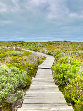 Tranquil coastline landscape with azure sky, and wooden walkway, South Africaの写真素材