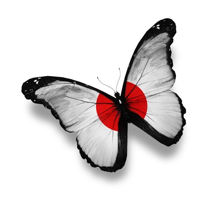 Japanese flag butterfly, isolated on whiteの写真素材