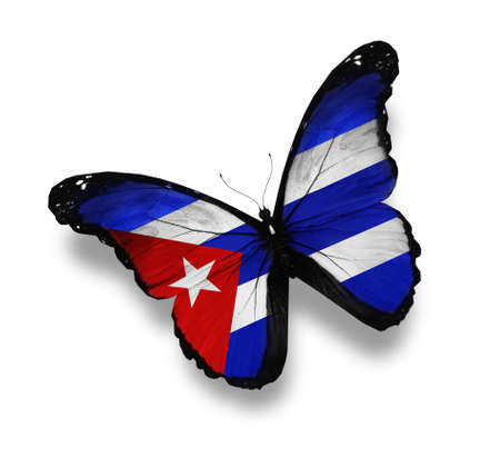 Cuban flag butterfly, isolated on whiteの写真素材