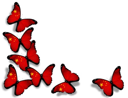 Chinese flag butterflies, isolated on white backgroundの写真素材