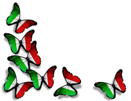 Italian flag butterflies, isolated on white backgroundの写真素材