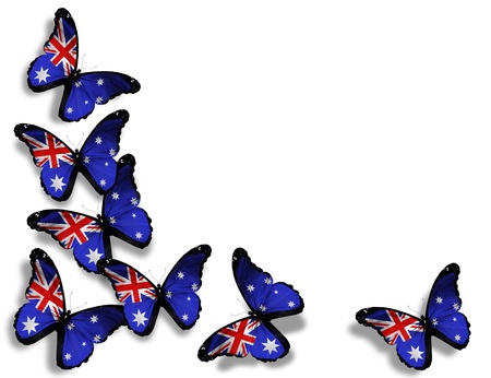 Australian flag butterflies, isolated on white backgroundの写真素材