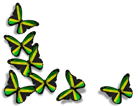 Jamaican flag butterflies, isolated on white backgroundの写真素材