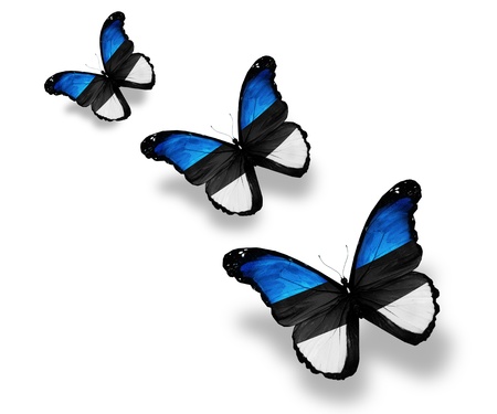 Three Estonian flag butterflies, isolated on whiteの写真素材
