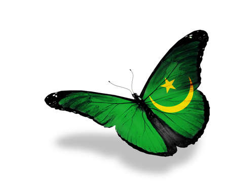 Mauritanian flag butterfly flying, isolated on white backgroundの写真素材