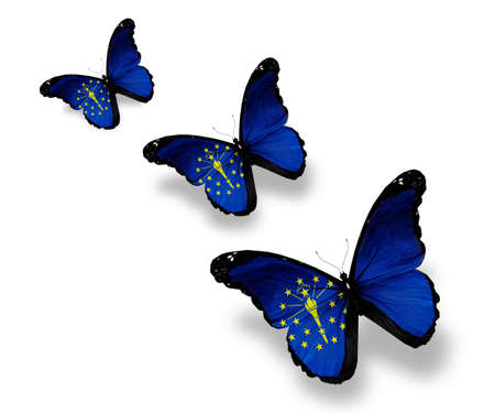 Three Indiana flag butterflies, isolated on whiteの写真素材