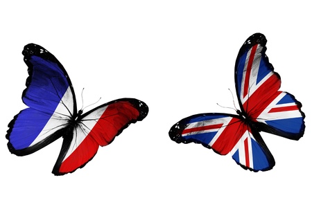 Concept - two butterflies with French and English flags flying, like two football teams playing  の写真素材