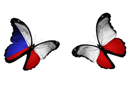 Concept - two butterflies with Czech and Polish flags flying, like two football teams playing  の写真素材