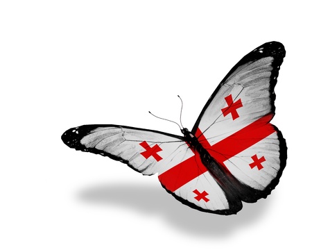 Georgian flag butterfly flying, isolated on white backgroundの写真素材