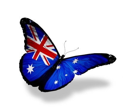 Australian flag butterfly flying, isolated on white backgroundの写真素材