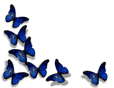 Indiana flag butterflies, isolated on white backgroundのeditorial素材