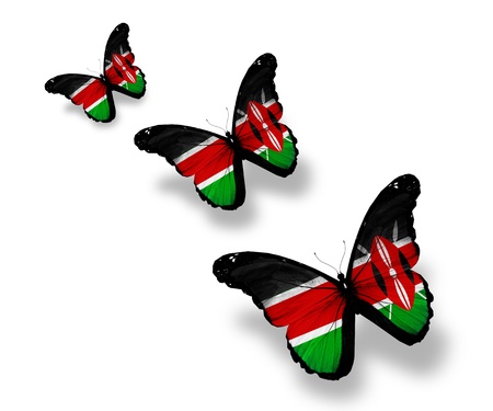 Three Kenya flag butterflies, isolated on whiteの写真素材