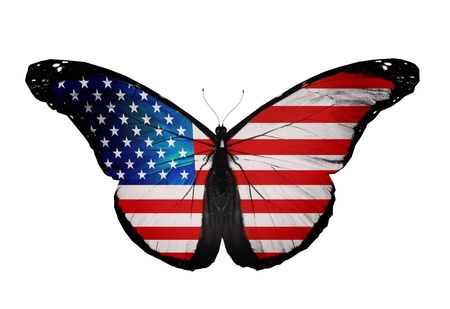 American flag butterfly flying, isolated on white backgroundの写真素材