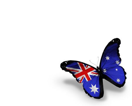 Australian flag butterfly, isolated on white backgroundの写真素材