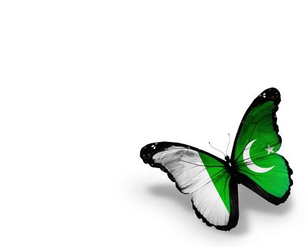Pakistani flag butterfly, isolated on white backgroundの写真素材