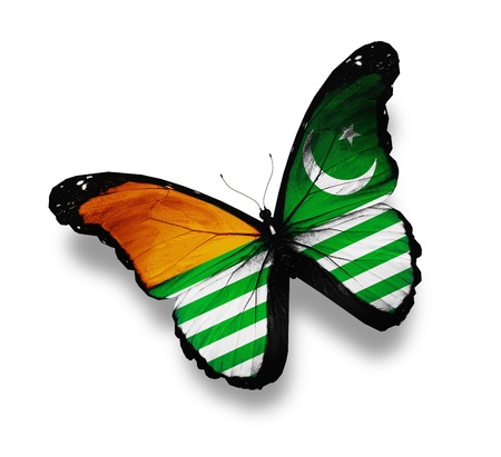 Azad Kashmir flag butterfly, isolated on whiteの写真素材