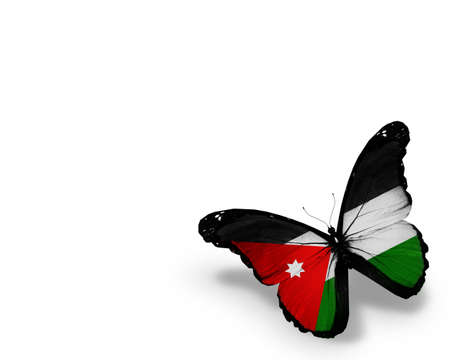 Jordanian flag butterfly, isolated on white backgroundの写真素材