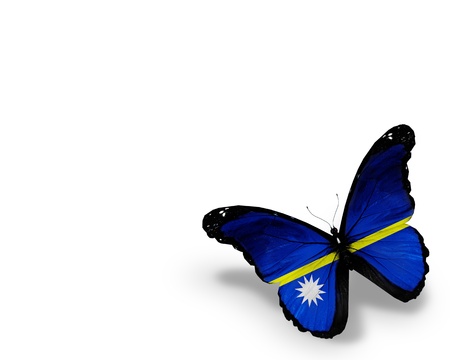 Nauru flag butterfly, isolated on white backgroundの写真素材