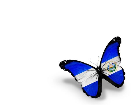 Salvador flag butterfly, isolated on white backgroundの写真素材