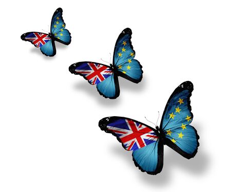 Three Tuvalu flag butterflies, isolated on whiteの写真素材