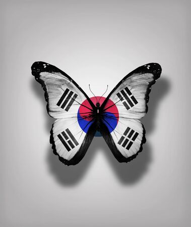 South Korea flag butterfly, isolated on flag backgroundの写真素材