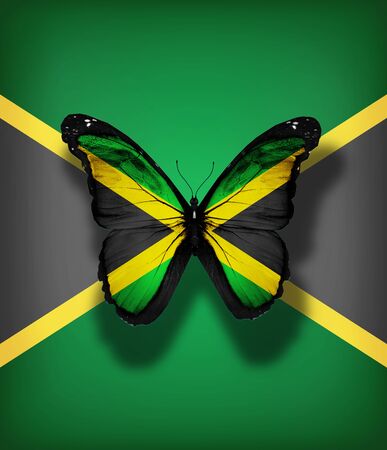 Jamaica flag butterfly, isolated on flag backgroundの写真素材