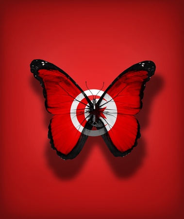 Tunisian flag butterfly, isolated on flag backgroundの写真素材