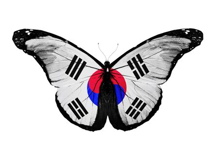 South Korea flag butterfly, isolated on white backgroundの写真素材